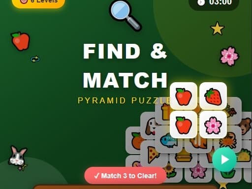 Play Find n Match online