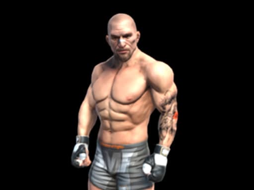 Play Fight Arena Online online