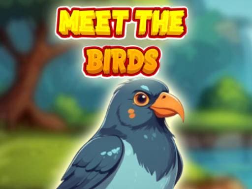 Play Meet The Birds online