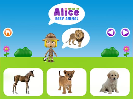 Play World of Alice - Baby animal online