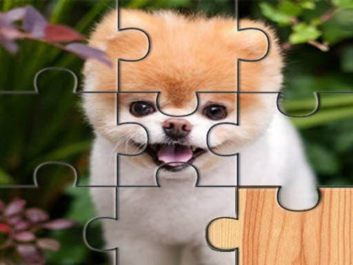 Play Cute Dogs Jigsaw Puzlle online