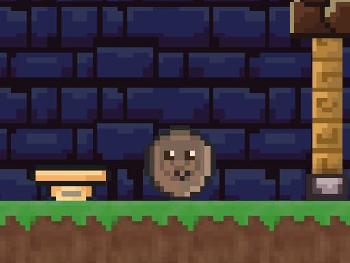 Play Logus Pocus online