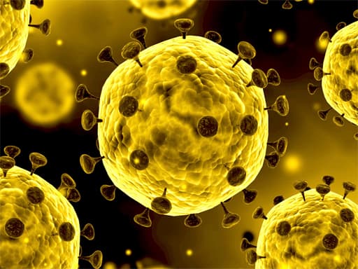 Play Coronavirus Slide online
